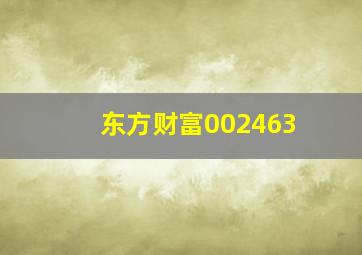 东方财富002463