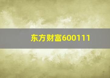 东方财富600111