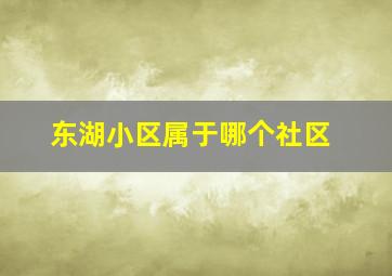 东湖小区属于哪个社区