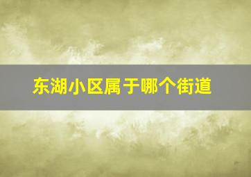 东湖小区属于哪个街道