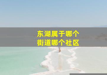 东湖属于哪个街道哪个社区