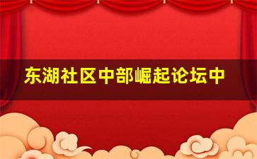 东湖社区中部崛起论坛中