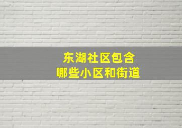 东湖社区包含哪些小区和街道