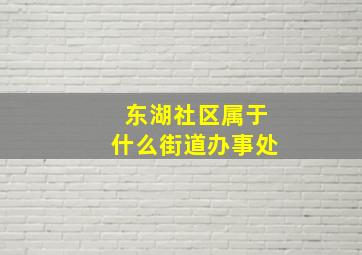 东湖社区属于什么街道办事处