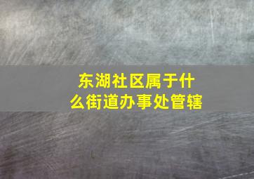 东湖社区属于什么街道办事处管辖