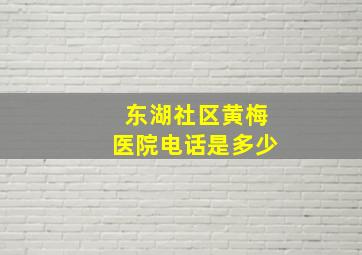 东湖社区黄梅医院电话是多少