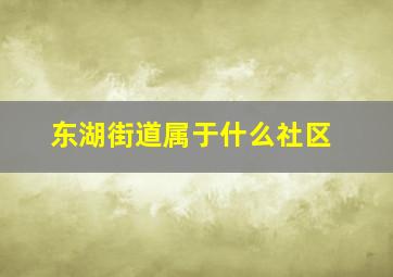 东湖街道属于什么社区