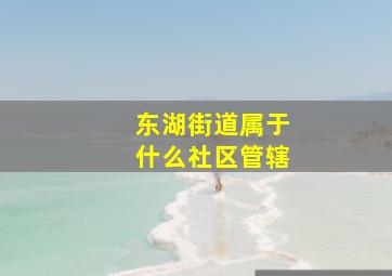 东湖街道属于什么社区管辖