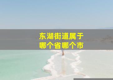 东湖街道属于哪个省哪个市