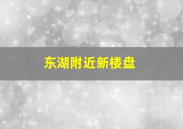 东湖附近新楼盘