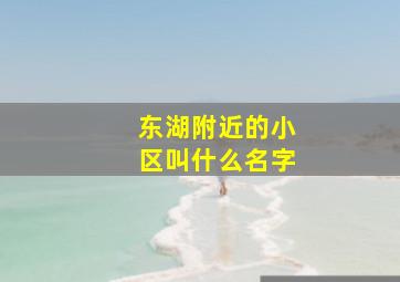 东湖附近的小区叫什么名字