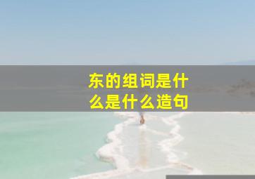 东的组词是什么是什么造句