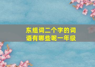 东组词二个字的词语有哪些呢一年级