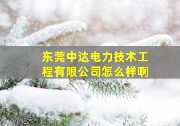 东莞中达电力技术工程有限公司怎么样啊