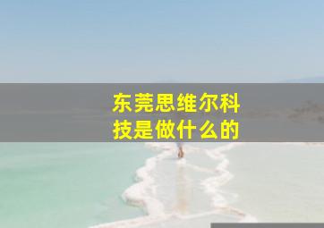 东莞思维尔科技是做什么的