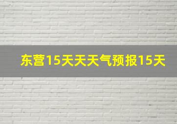 东营15天天天气预报15天