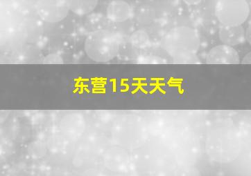 东营15天天气