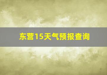 东营15天气预报查询