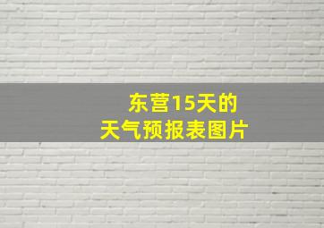 东营15天的天气预报表图片