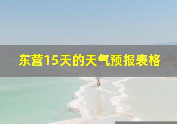 东营15天的天气预报表格