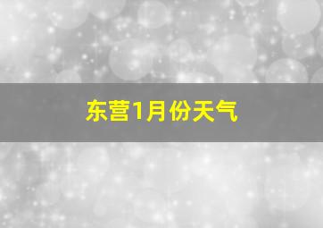 东营1月份天气