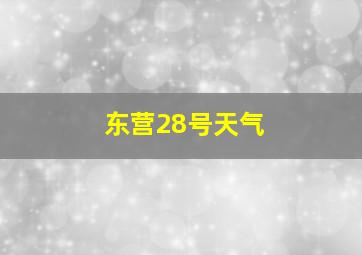 东营28号天气