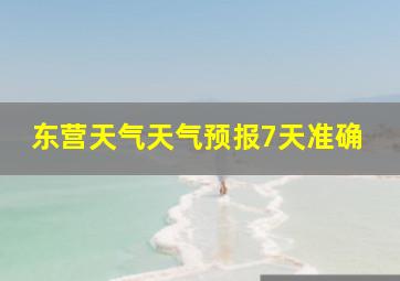 东营天气天气预报7天准确