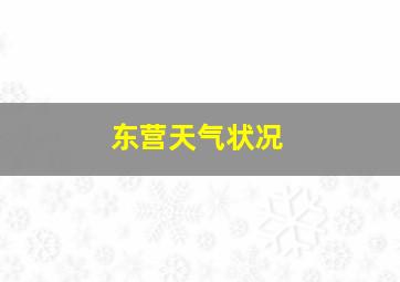 东营天气状况