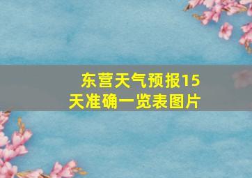 东营天气预报15天准确一览表图片