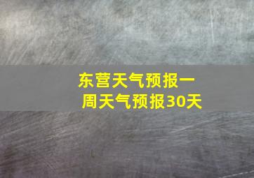 东营天气预报一周天气预报30天