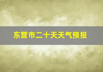 东营市二十天天气预报