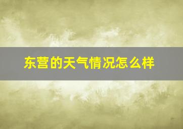 东营的天气情况怎么样