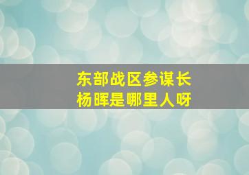 东部战区参谋长杨晖是哪里人呀