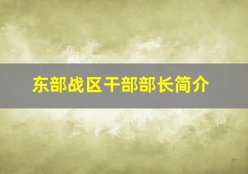 东部战区干部部长简介