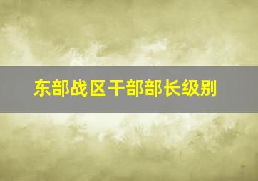 东部战区干部部长级别