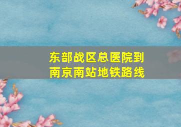 东部战区总医院到南京南站地铁路线