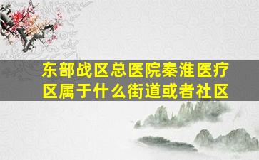 东部战区总医院秦淮医疗区属于什么街道或者社区