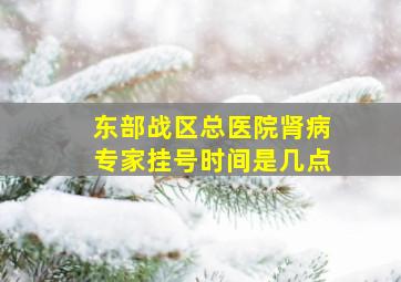 东部战区总医院肾病专家挂号时间是几点