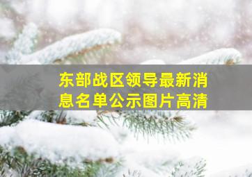 东部战区领导最新消息名单公示图片高清