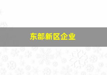 东部新区企业