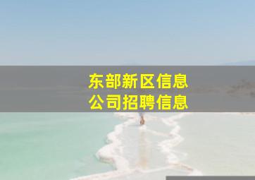 东部新区信息公司招聘信息