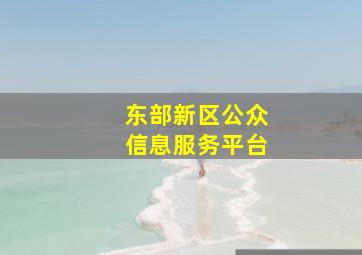 东部新区公众信息服务平台