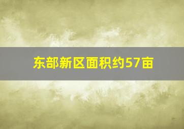 东部新区面积约57亩