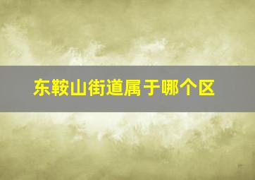 东鞍山街道属于哪个区