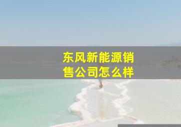 东风新能源销售公司怎么样