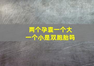 两个孕囊一个大一个小是双胞胎吗