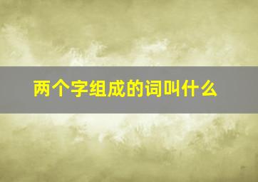 两个字组成的词叫什么