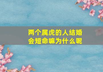 两个属虎的人结婚会短命嘛为什么呢