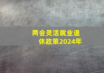 两会灵活就业退休政策2024年