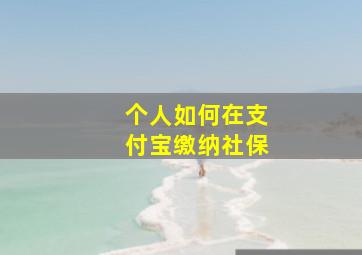 个人如何在支付宝缴纳社保